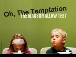 marshmallow experiment