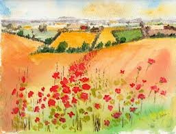 poppy fields