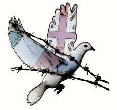bird of peace